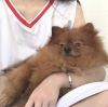 孙露最好的情歌【高音質超好聽】孫露HiFi專輯_非常動聽